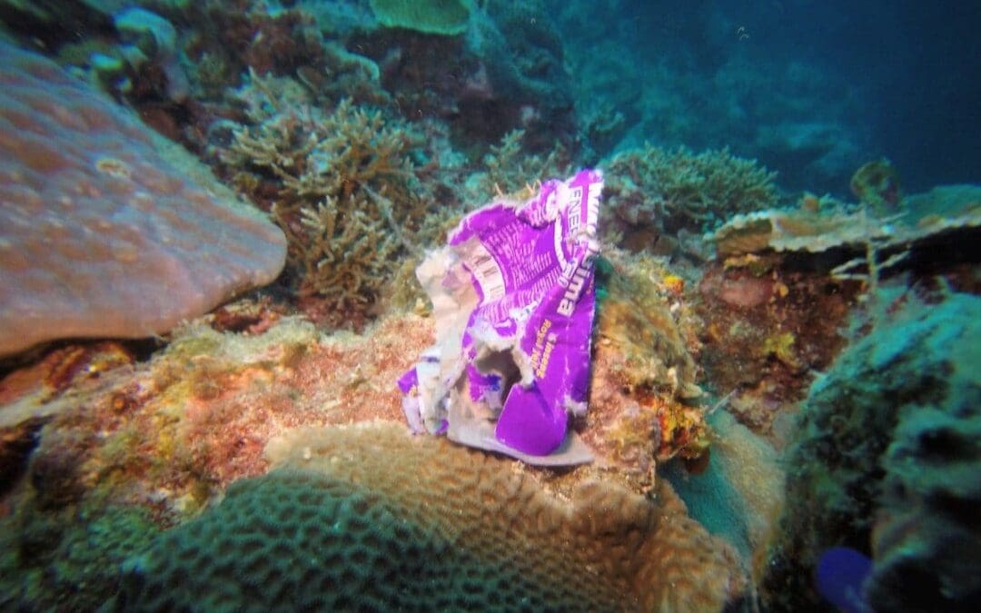 Garbage Truck Worth of Plastic Enters Oceans Every Minute