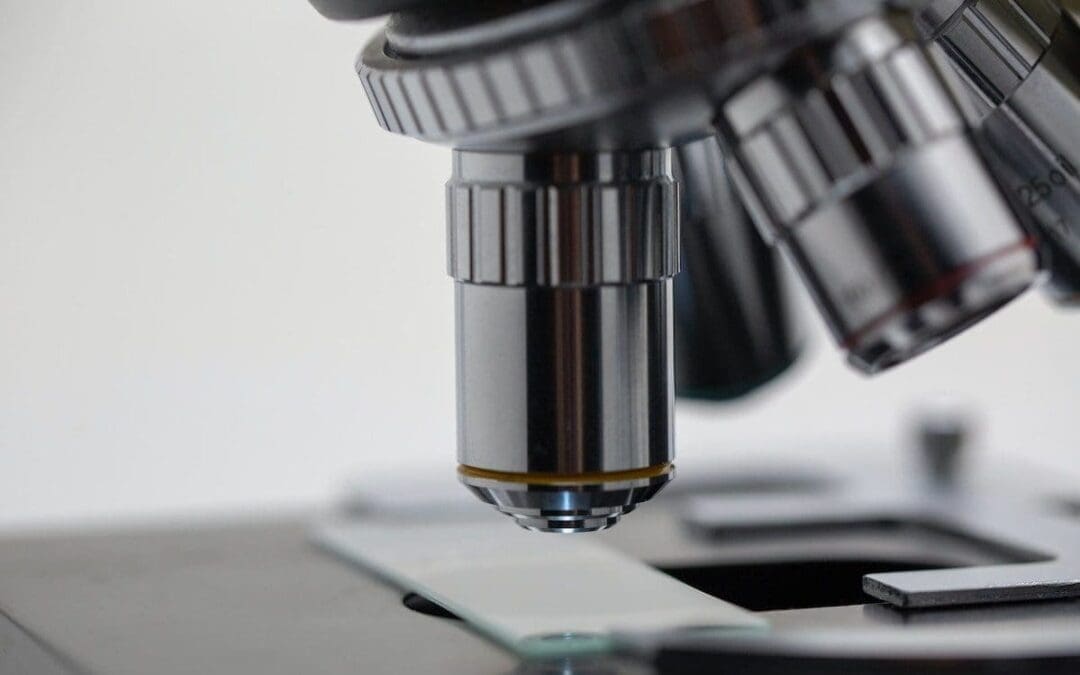 Do Lab-Grown Embryos Have Rights?