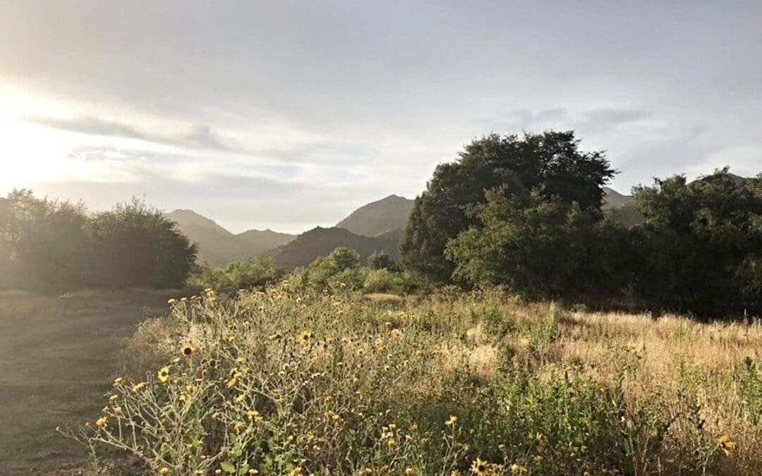 Faith Groups to Prez Biden: Protect Sacred Land