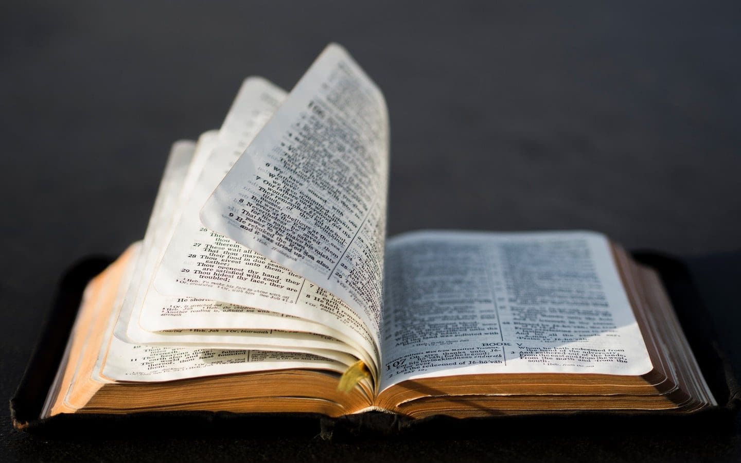 An open Bible on a table with several pages being turned.