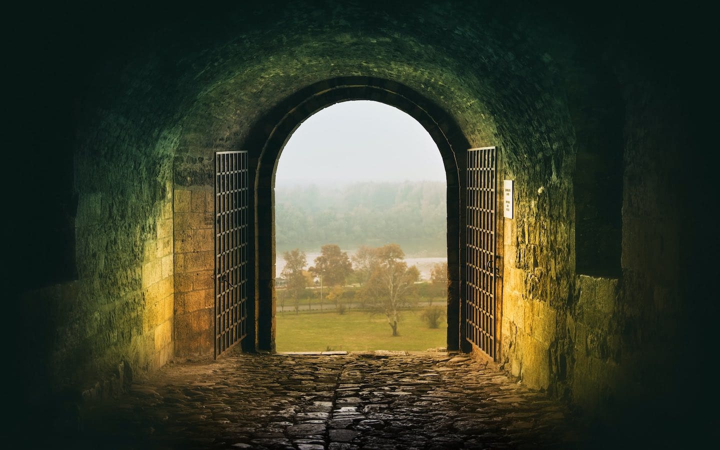 The interior of a castle with a metal gate open showing a field with trees. I first heard about there being a first half of life and a second half of life through Father Richard Rohr’s book 'Falling Upward.'