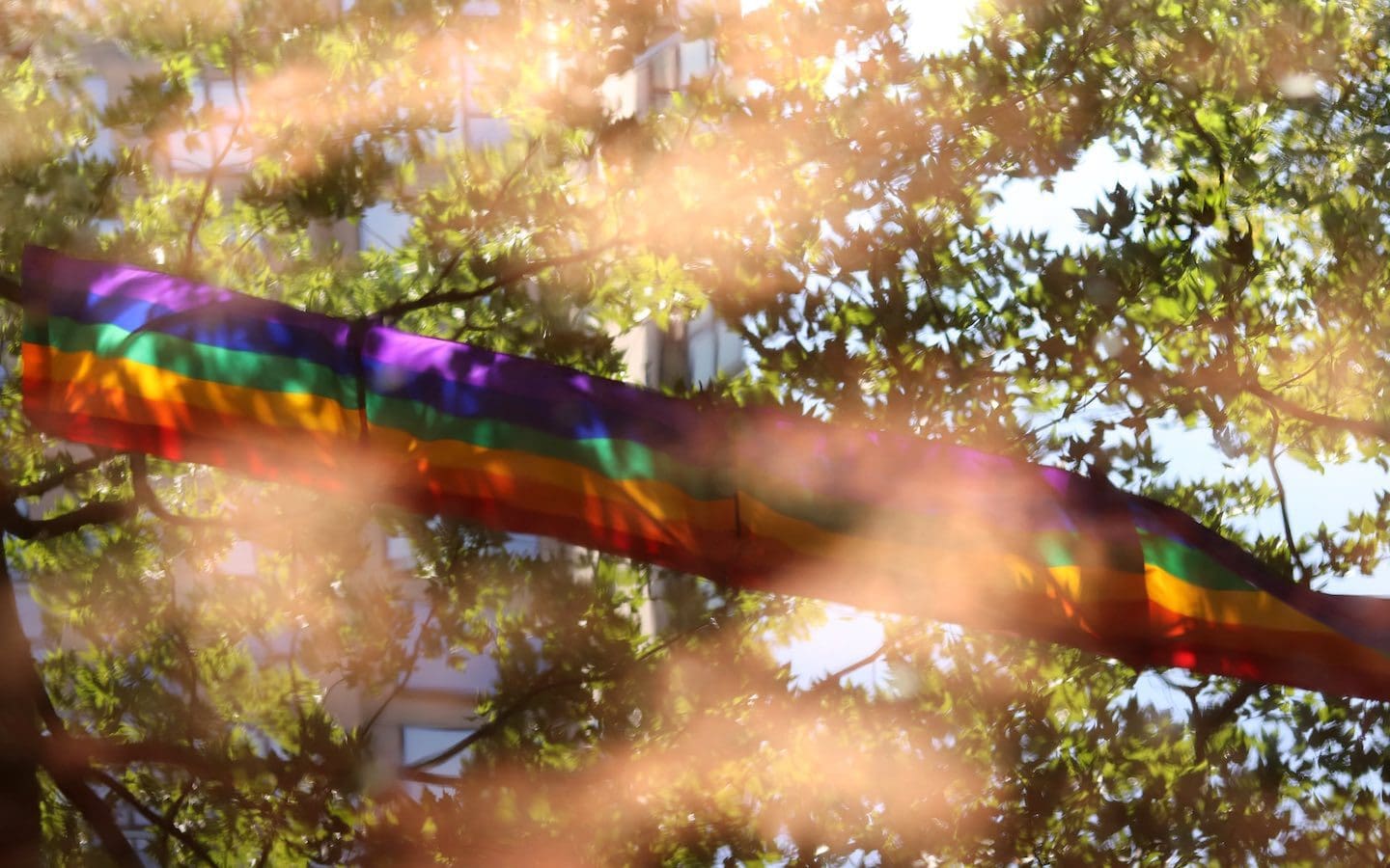 A rainbow Pride banner in the air with sun shining onto it through trees.