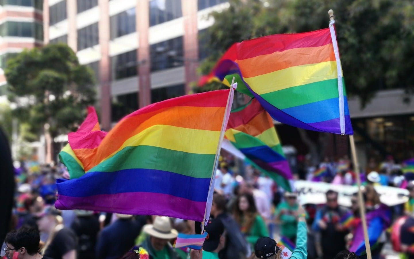 A group of people outside holding a couple of Pride / rainbow flags.