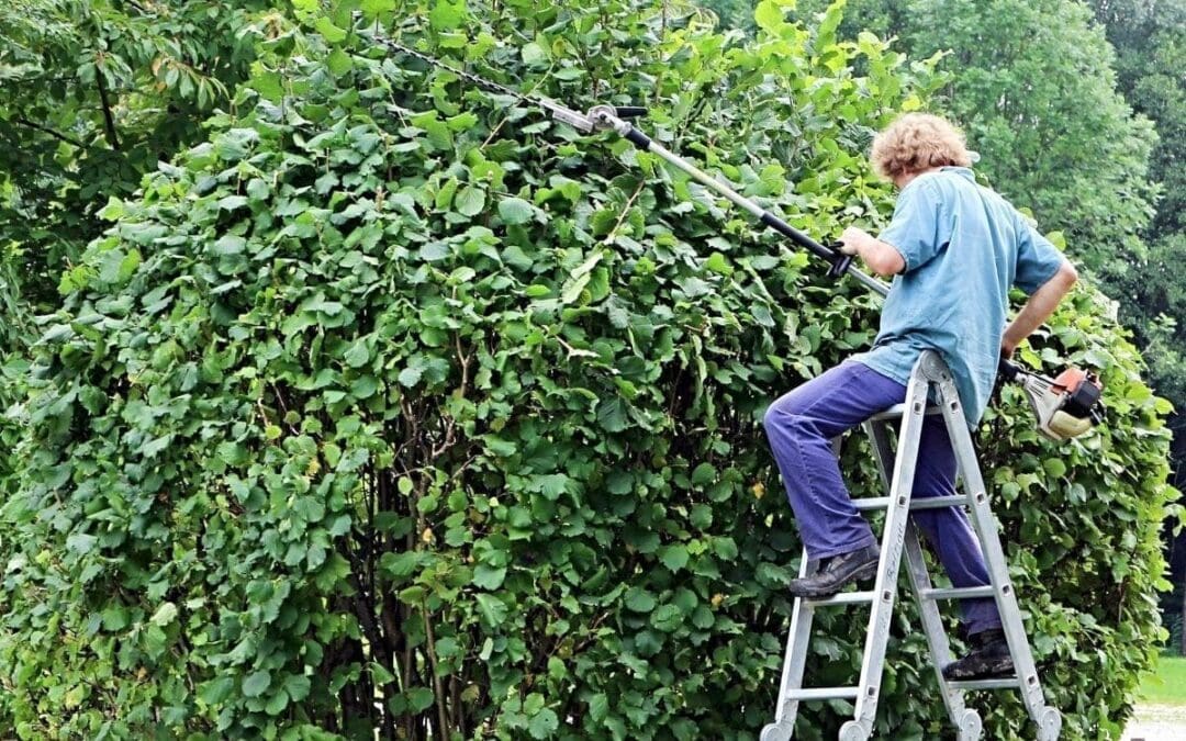 Gov’t Has Failed Us. Time for Some Pruning.