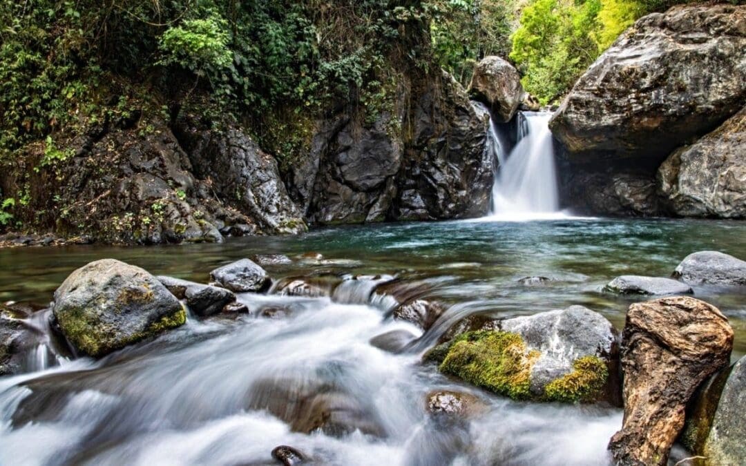 Jitsuo Morikawa: Father of Baptist Environmentalism