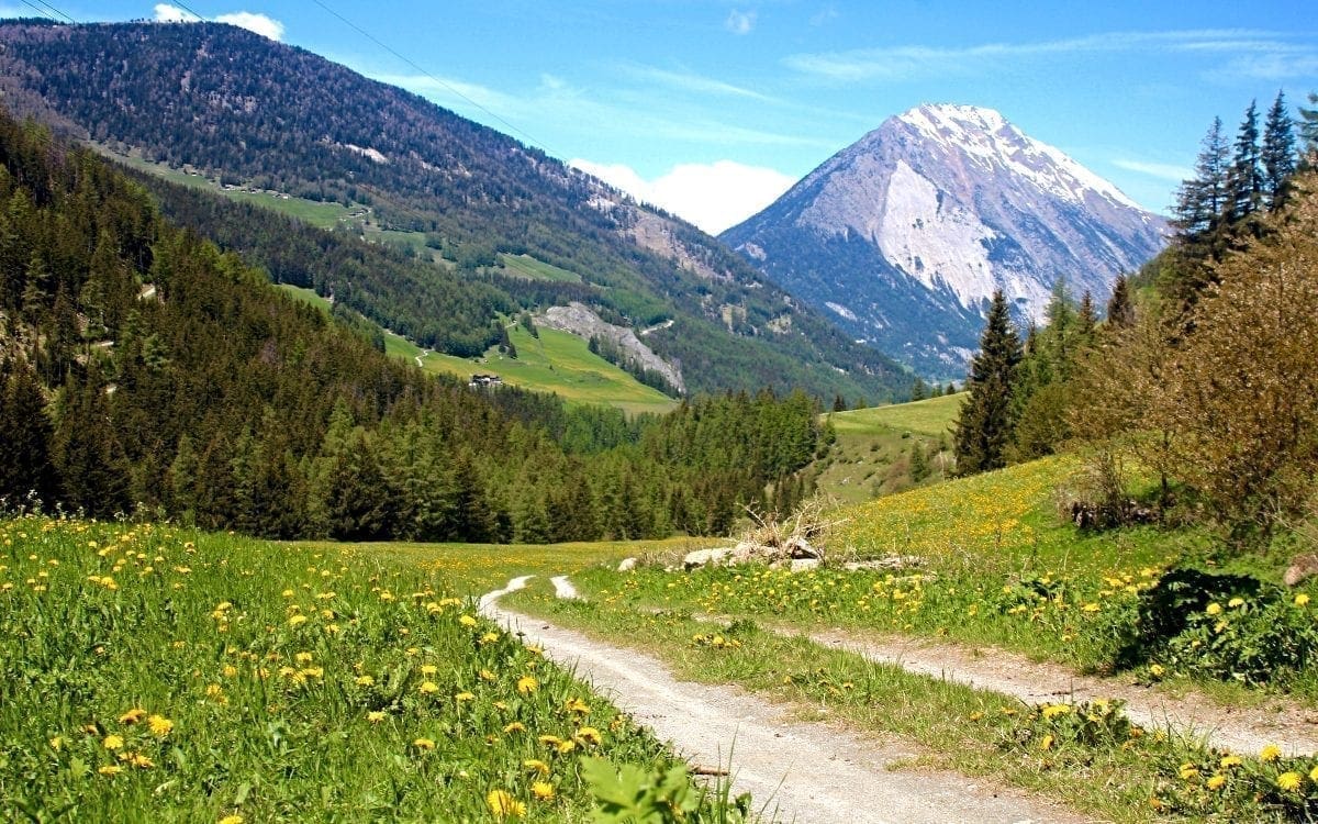 Dirt road heading toward mountains