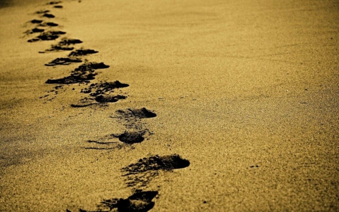 Lenten Lectionary | Journeying with Jesus into the Wilderness