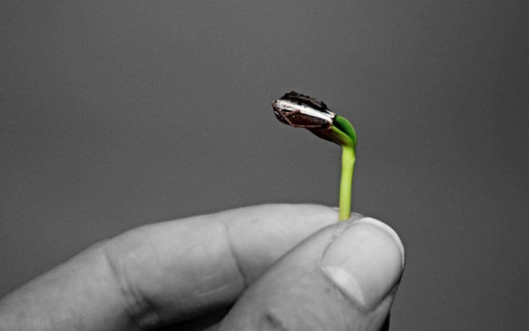 Seeds of Hope: How Millennials Can Unite to Transform Culture