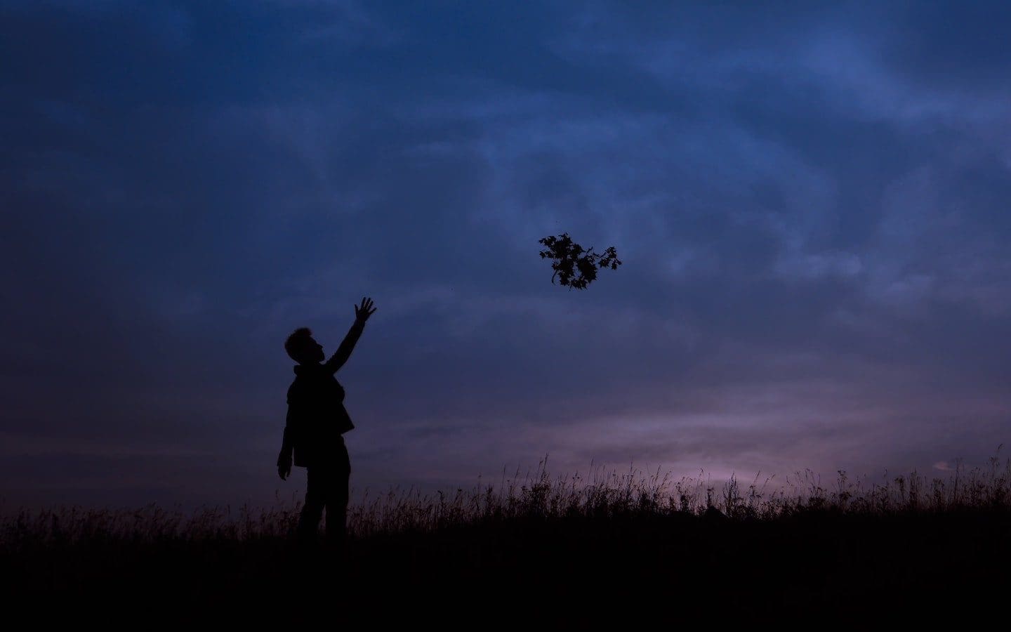 The silhouette of a man standing in a field with his hand in the air.