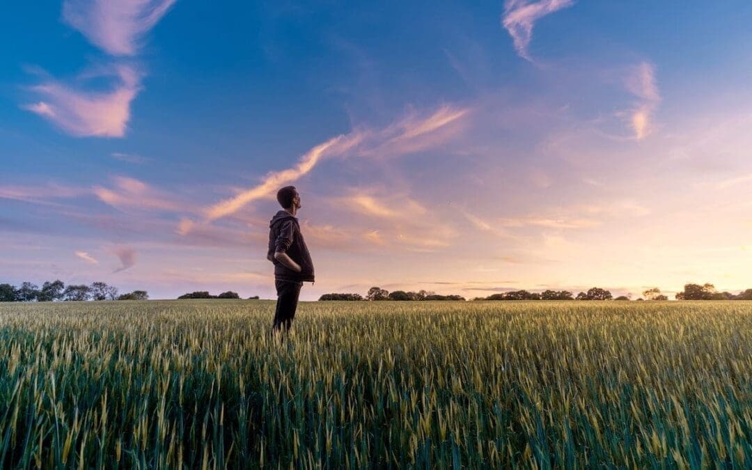 Why You Should Consider ‘Harvesting Life’