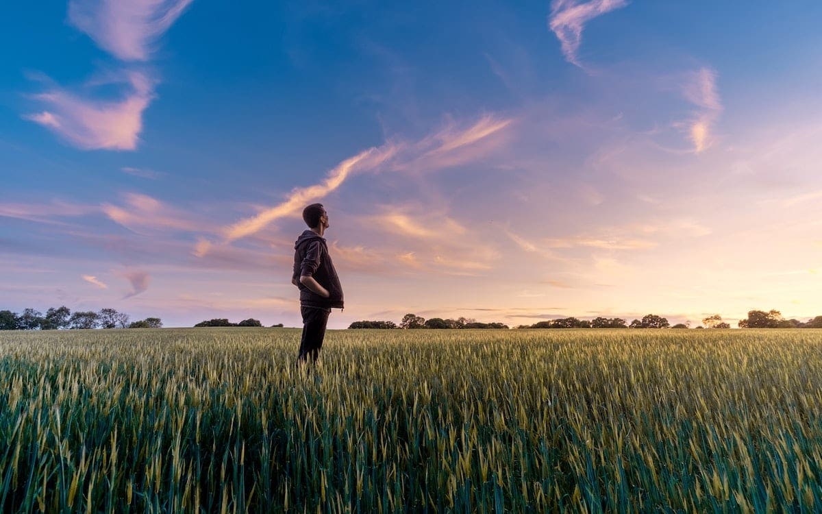 A man standing in a wheat field looking up at the sky.