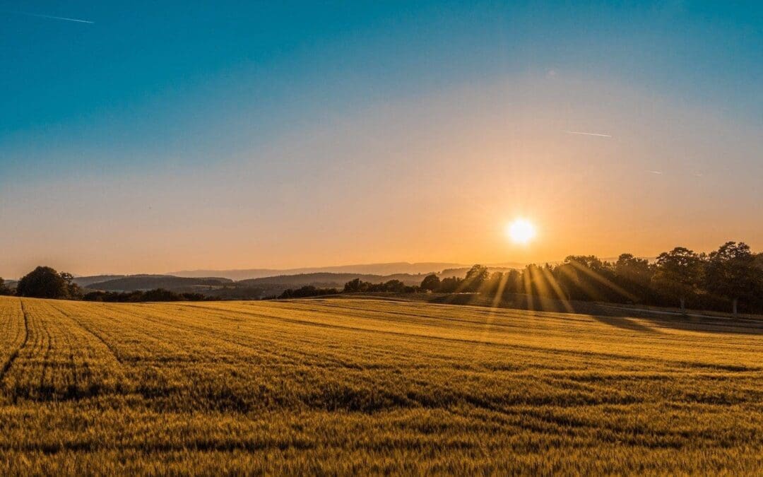 Why, and How, You Should Practice the Ritual of Land Acknowledgment