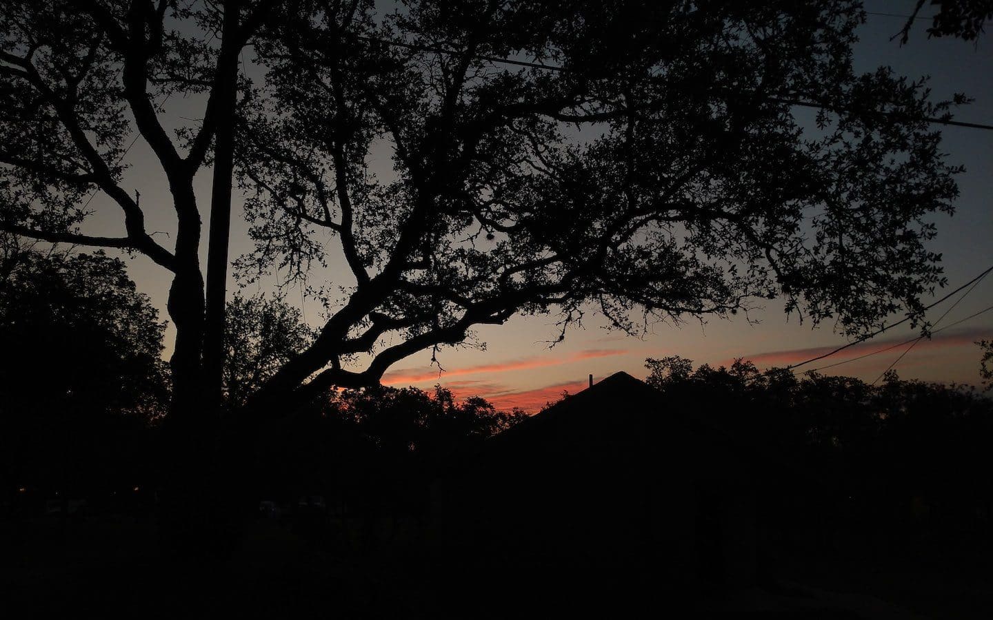 The silhouette of trees and a building as the sun rises.|