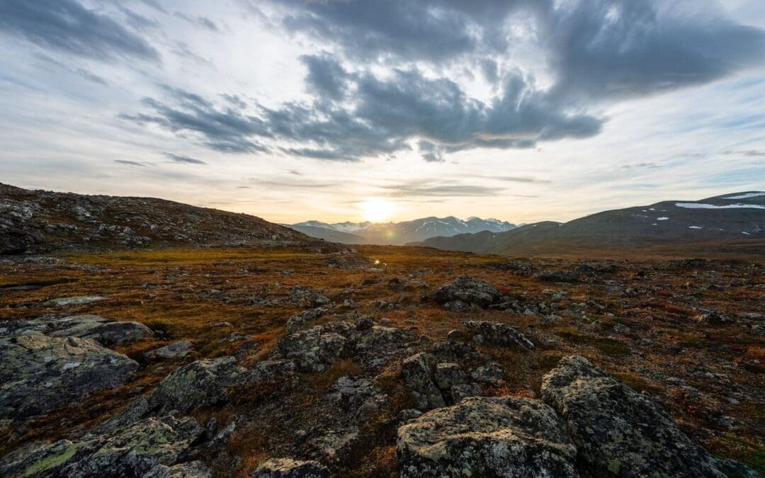 Advent Lectionary | Giving Voice to the Wilderness