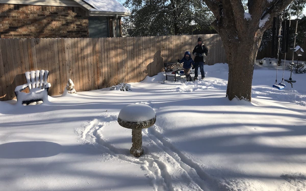 A snow-covered backyard.