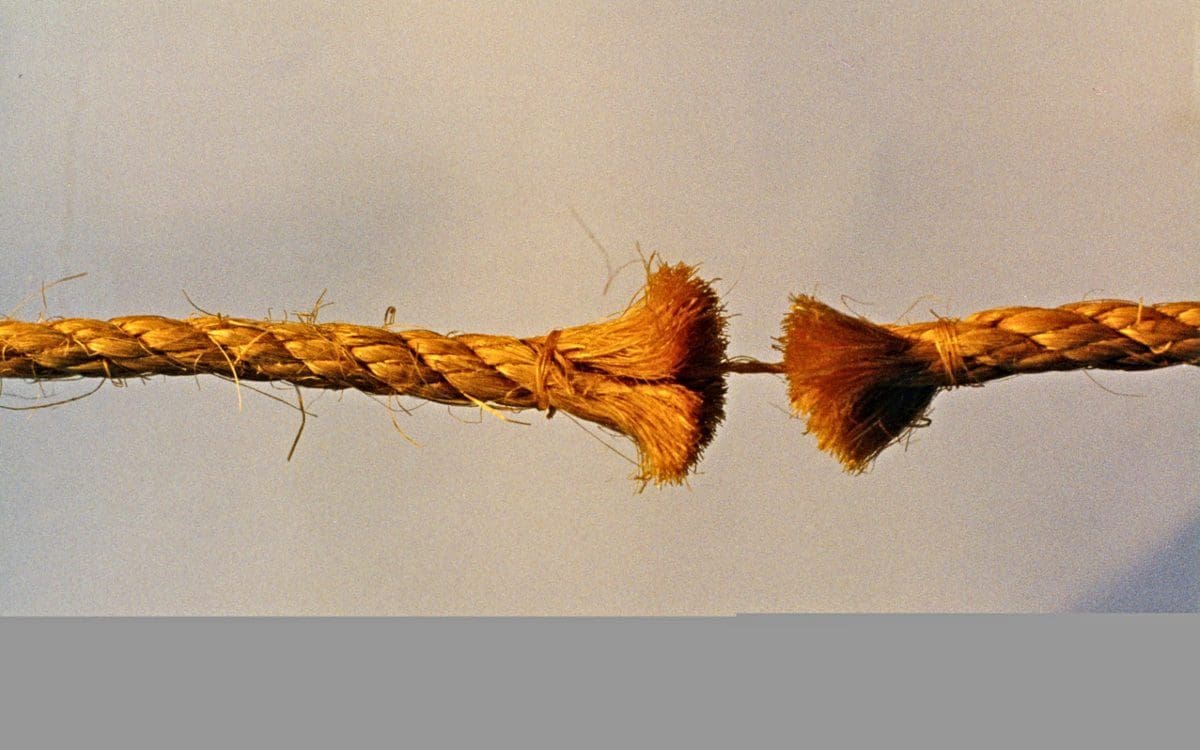 Thread held together by a strand