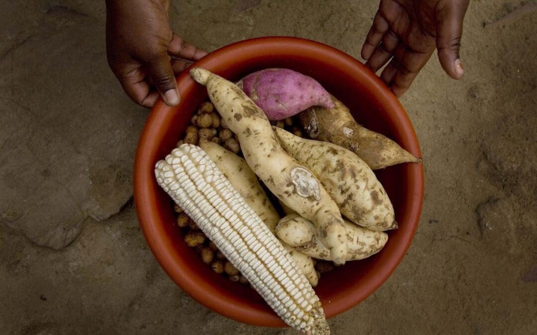 Food Insecurity Increased by 46m in 2021