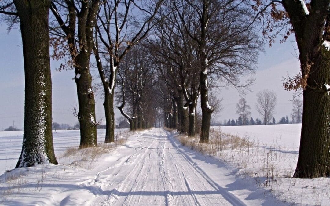 Is Your Life Composed of Seasons or a Journey?