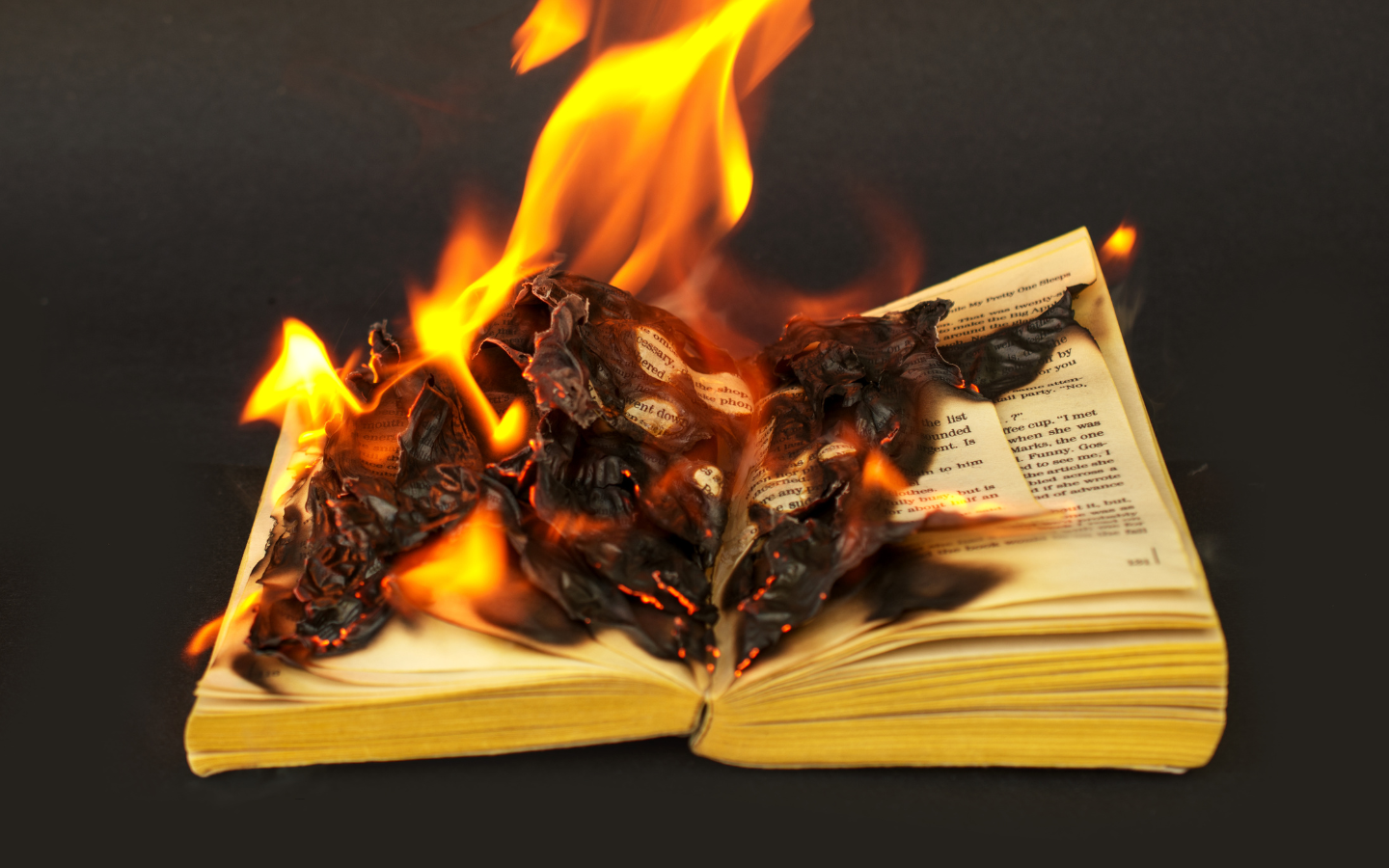 An image of a book being burned.