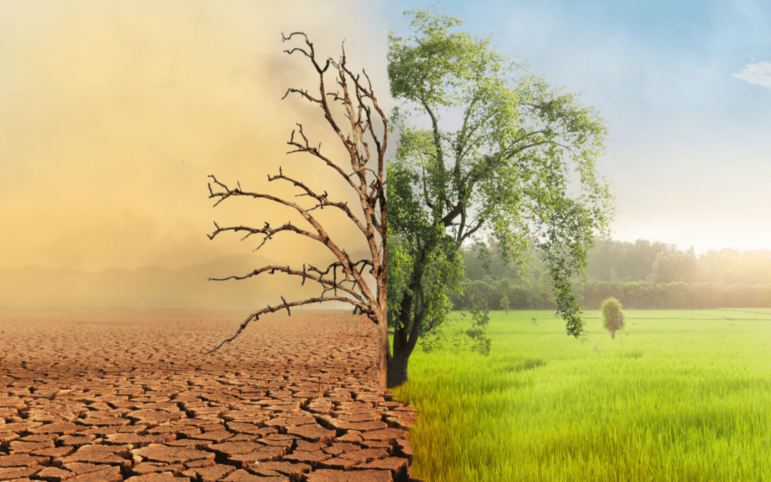 Baptist Responses to Climate Trauma