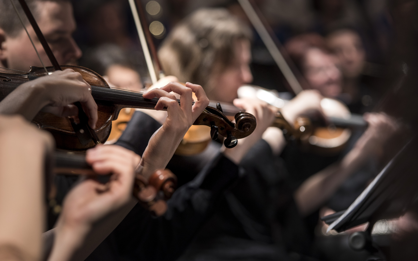 The violin section of an orchestra.
