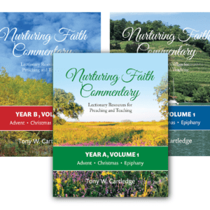 Nurturing Faith Bible Study Commentary - Full Set