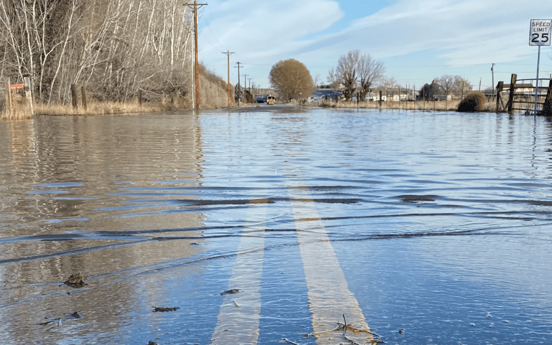 Hope Springs Eternal: Wait, Do You Have an Umbrella?
