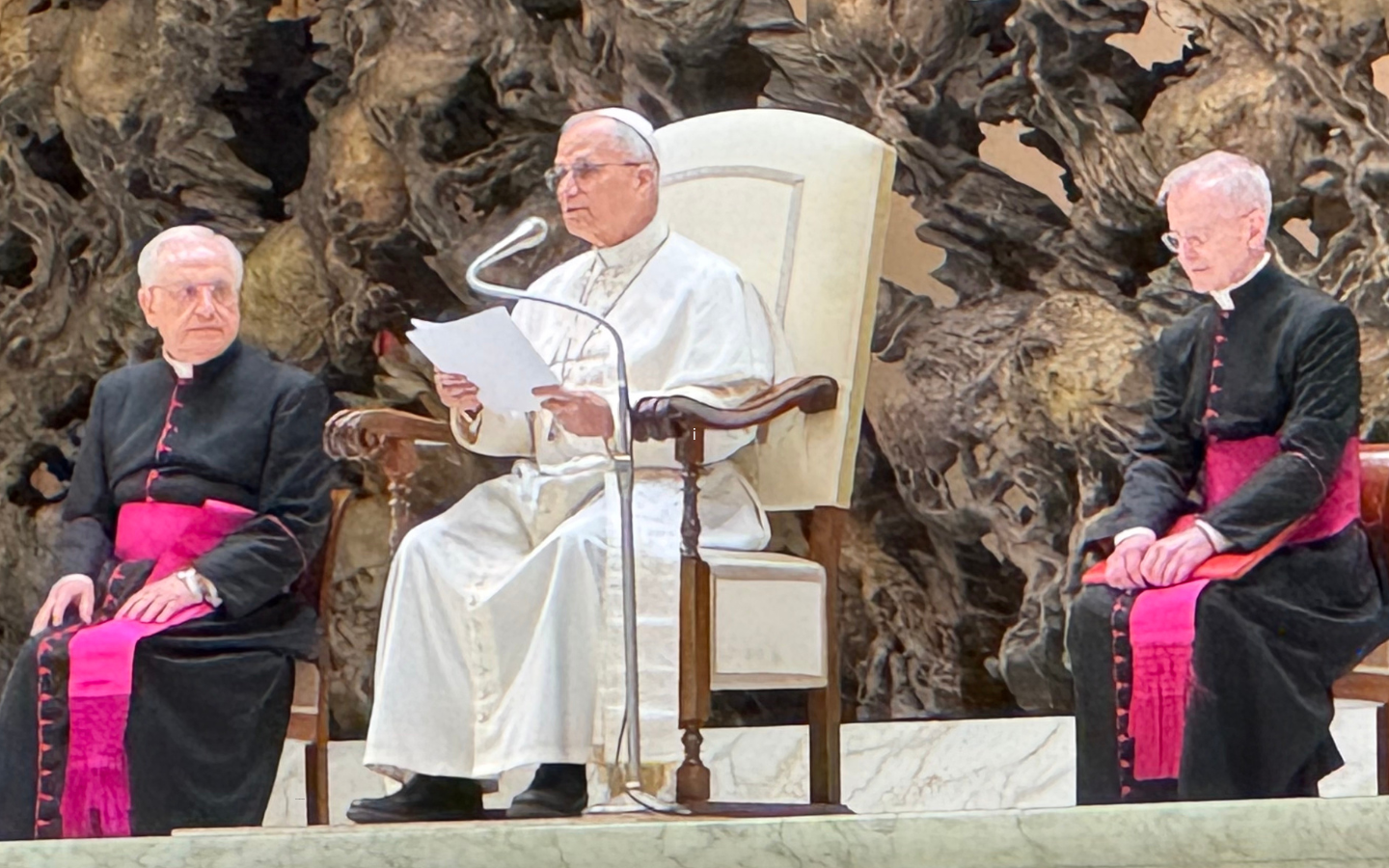 Pope Leo speaks to journalists.