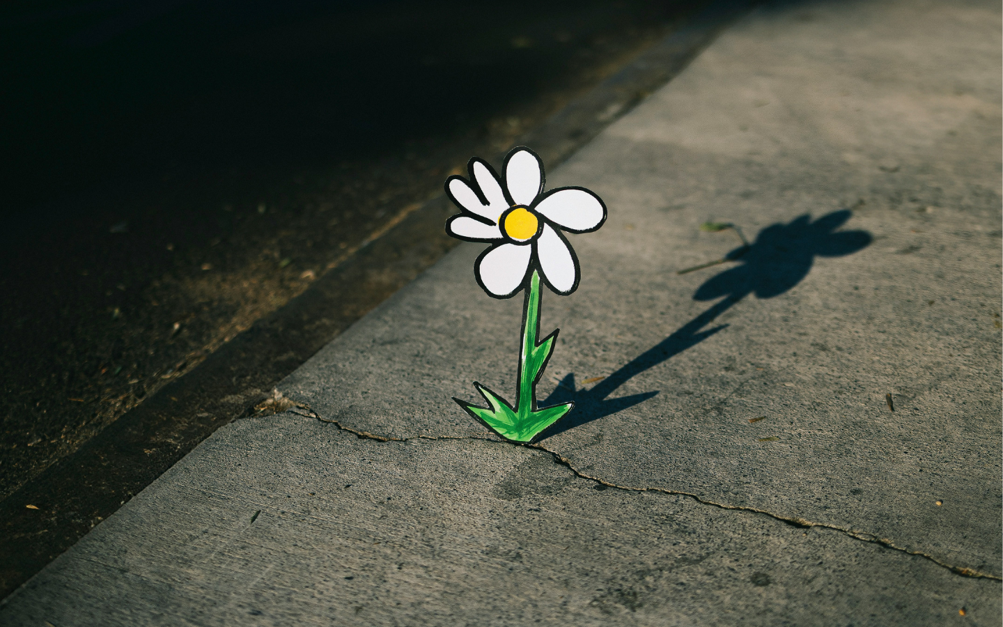 A coloring of a flower popping up through a crack in a sidewalk.