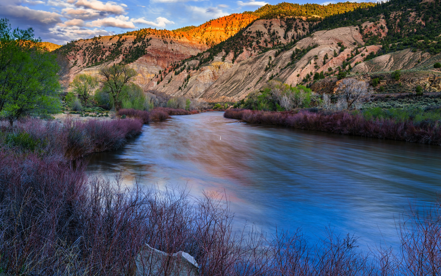 A photo of the Colorado River in Colorado.