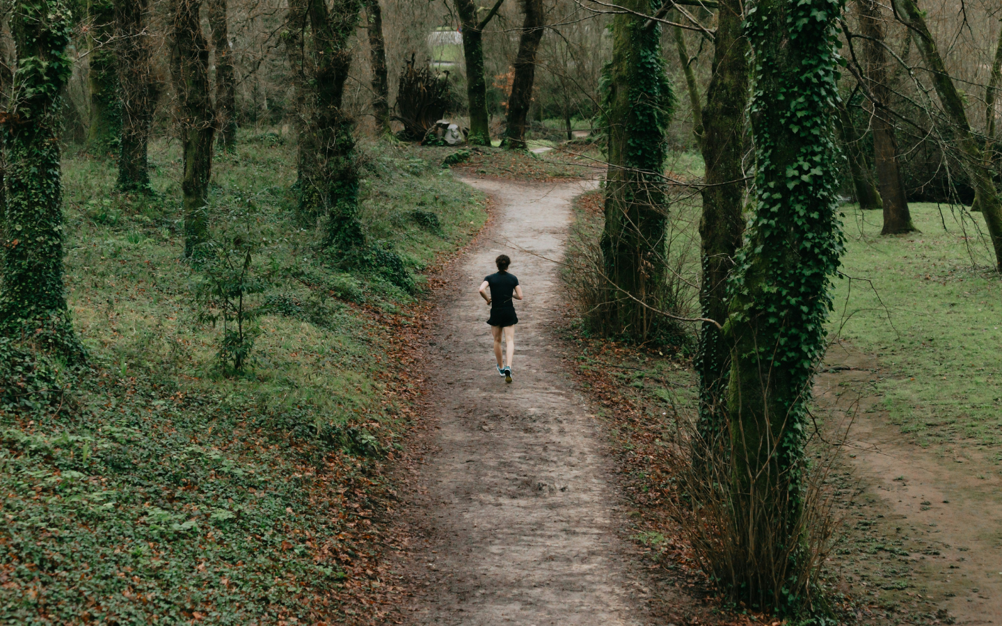 A lone runner on a forest path.