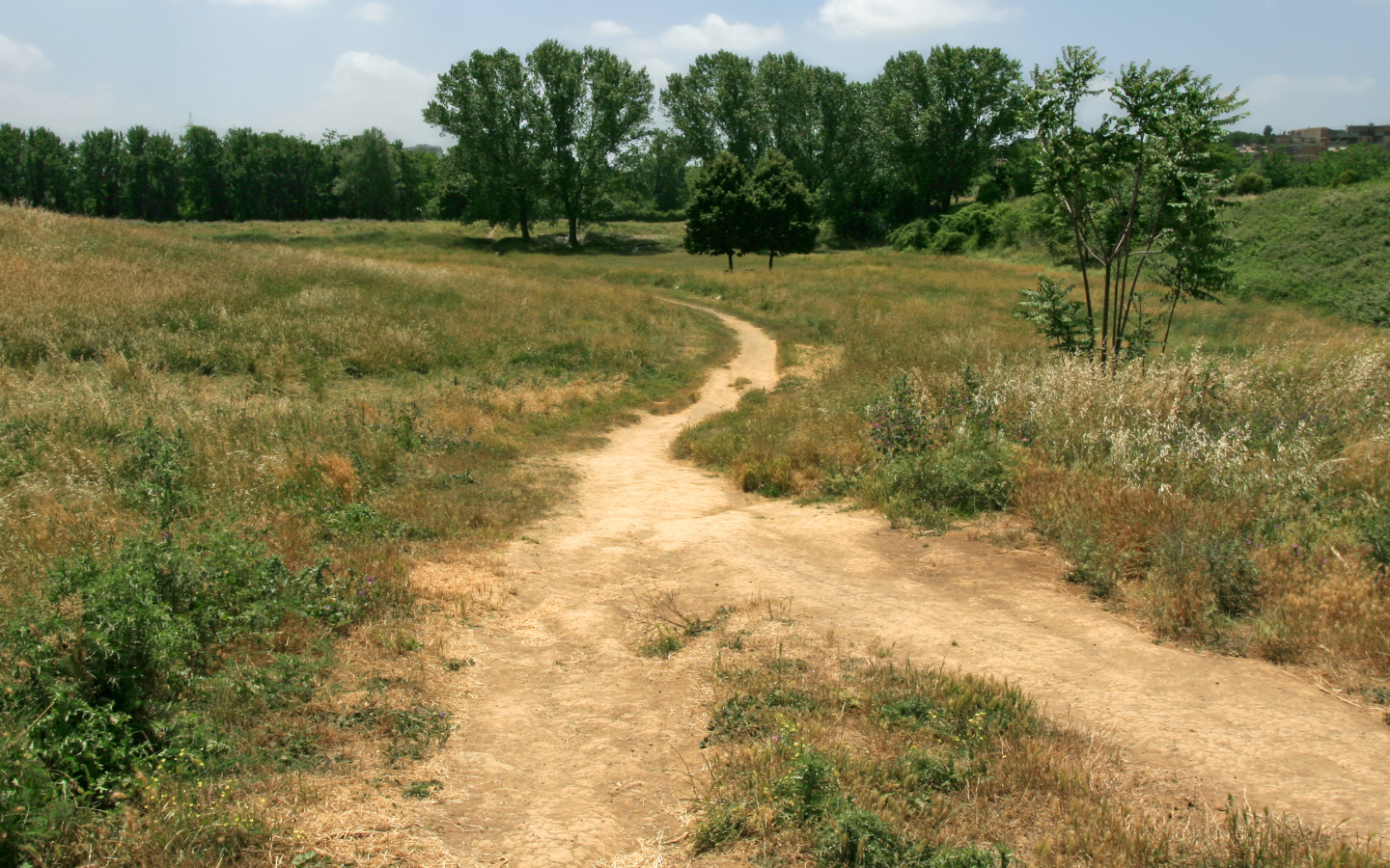 Two paths merge.