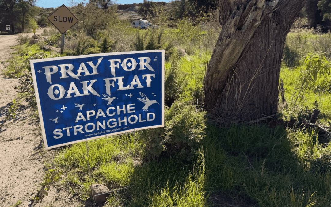 Digging Holes and Chasing Tumbleweeds: Protecting Mother Earth and Sacred Grounds