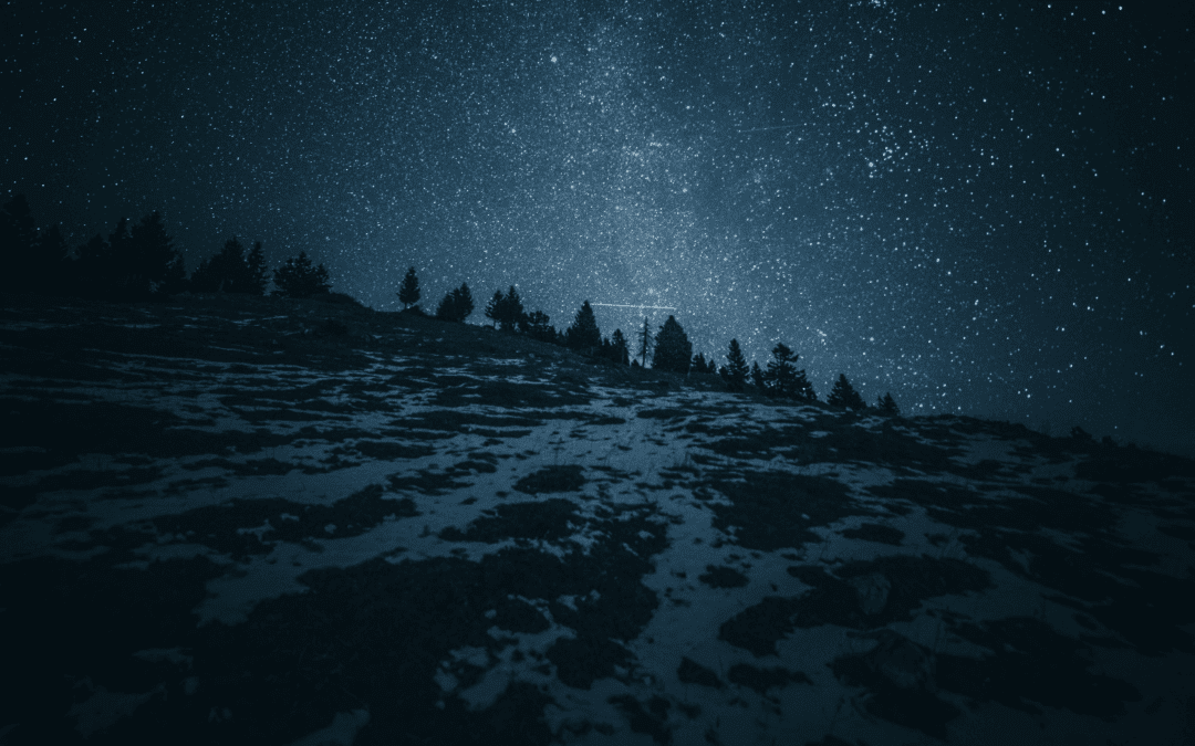 Wonder as You Wander the Road to Bethlehem
