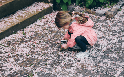 On Birthdays and Cherry Blossoms