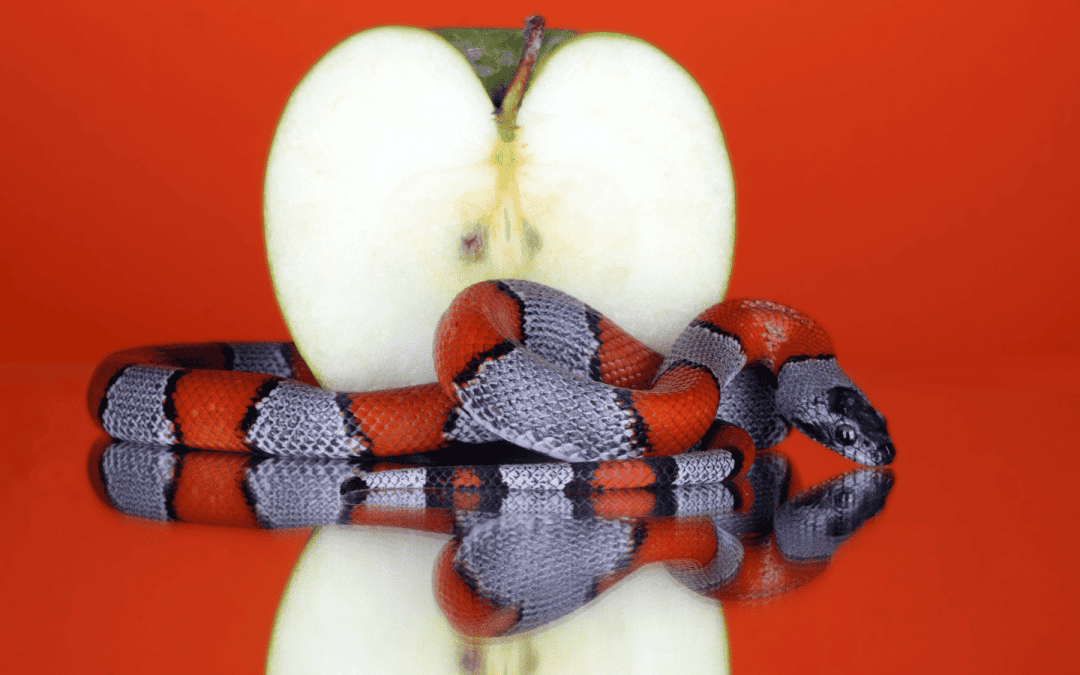 Are We Depraved?: A Rumination on Original Sin
