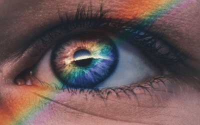 No Rainbow: AI, Creative Destruction, and the Theology Silicon Valley Forgot