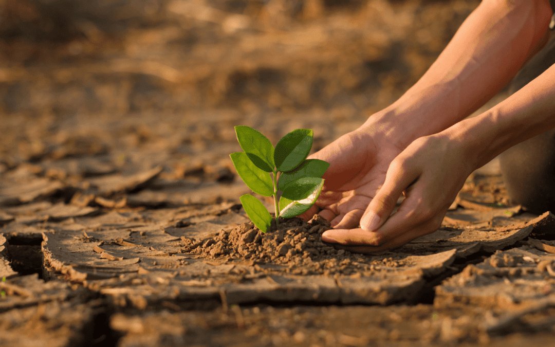 World Environment Day is a Call to Action
