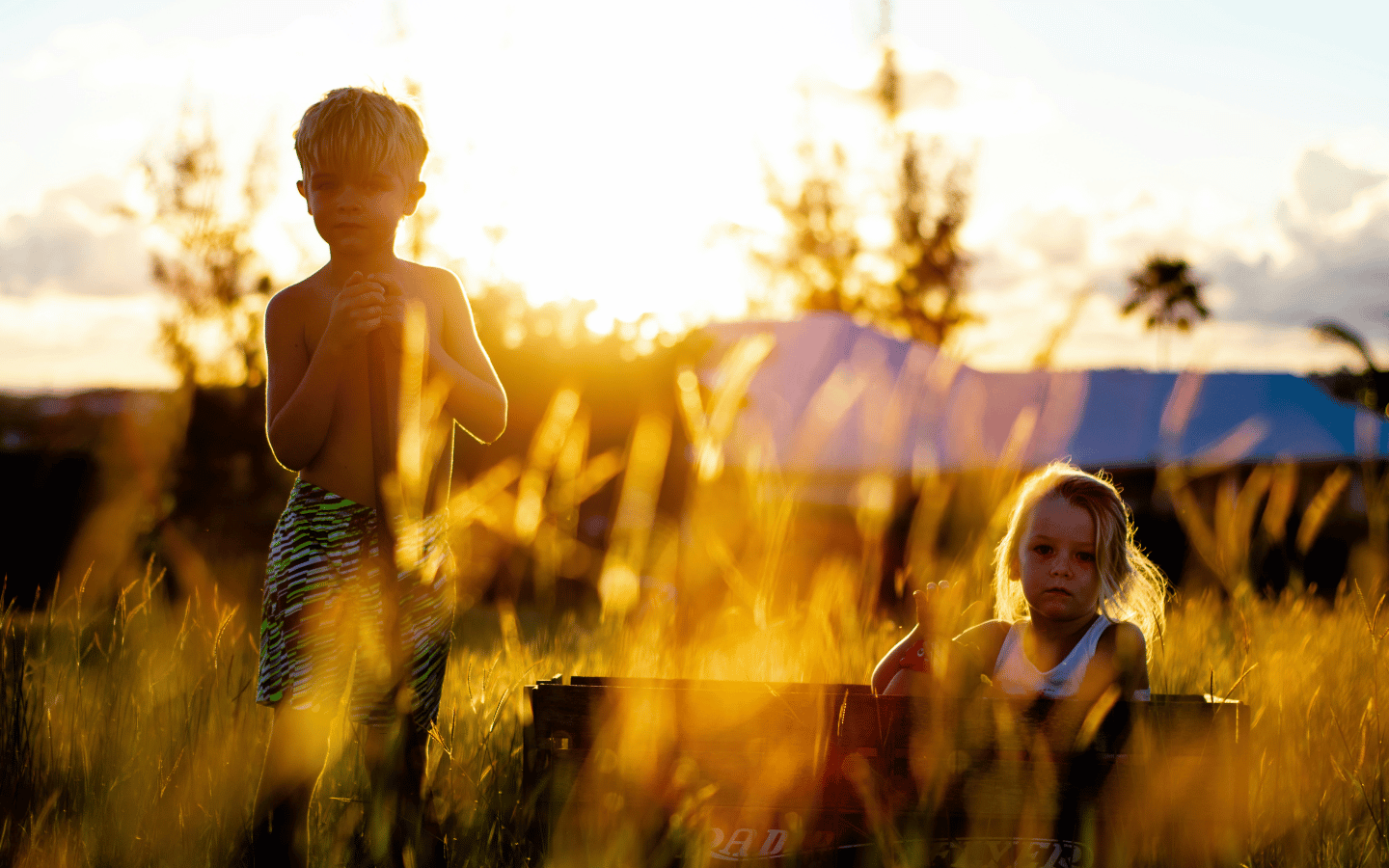 A boy and a girl are playing in a field at dusk on a summer day.