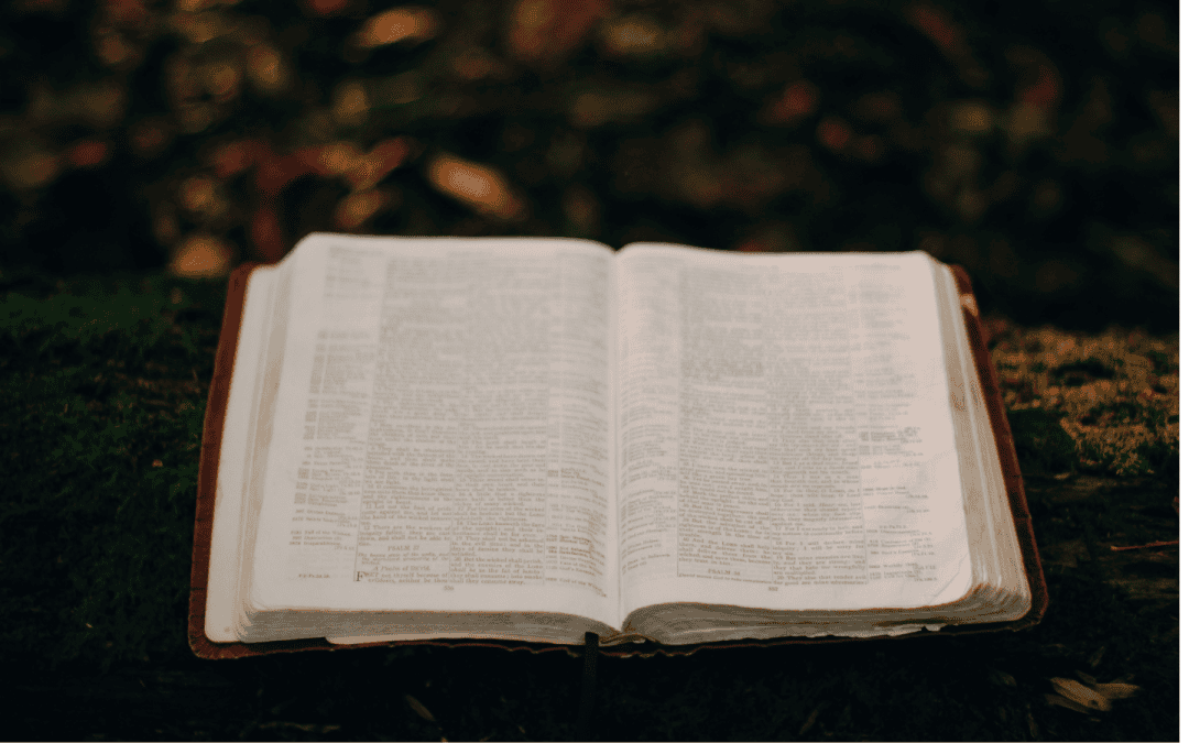 The Fifth Commandment On a National Scale