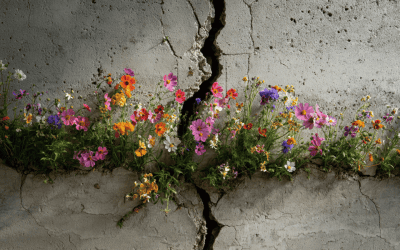 Starting Small in Our Overwhelming Times