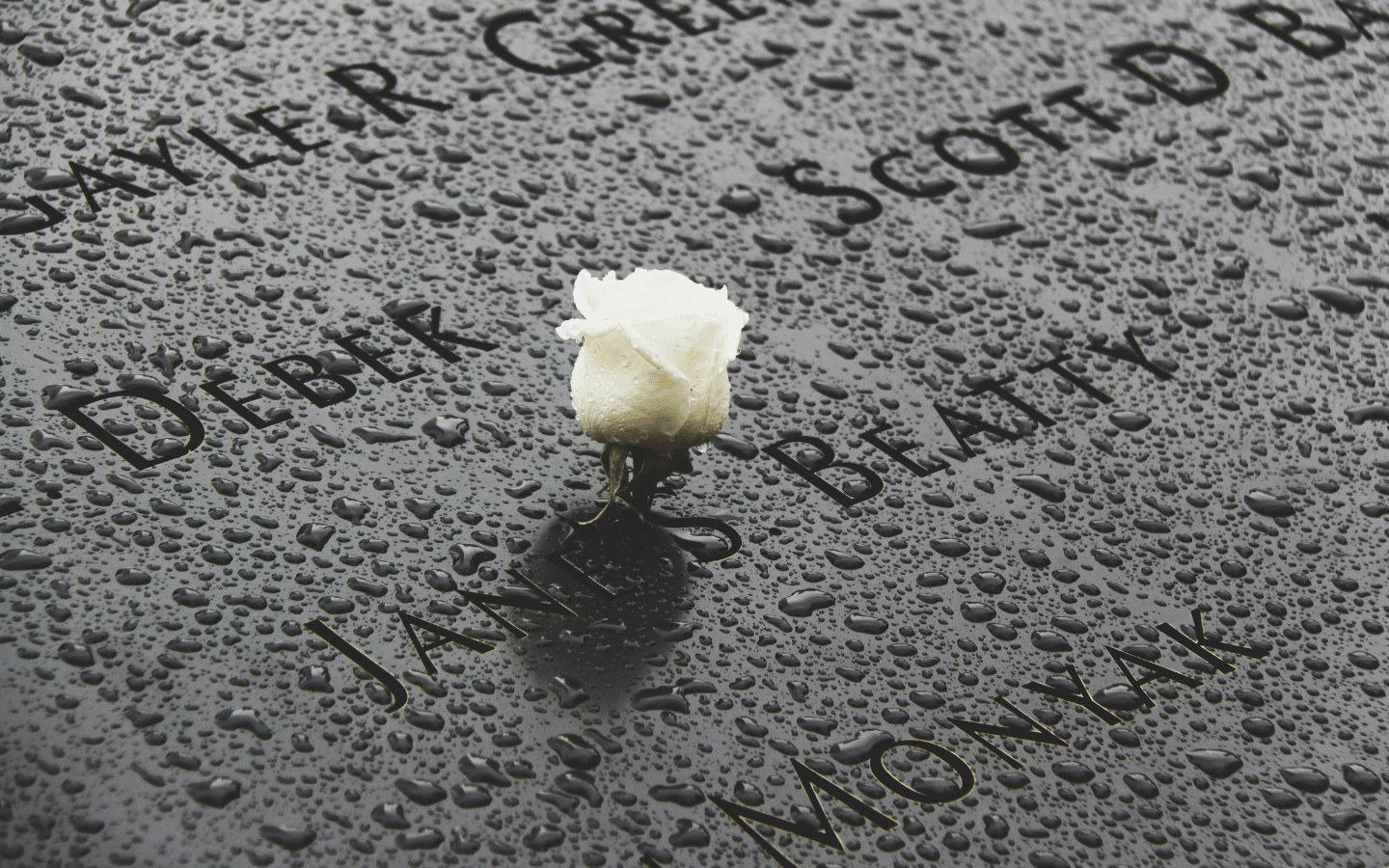 A rose sits on top of names on the 9/11 memorial, in the rain.