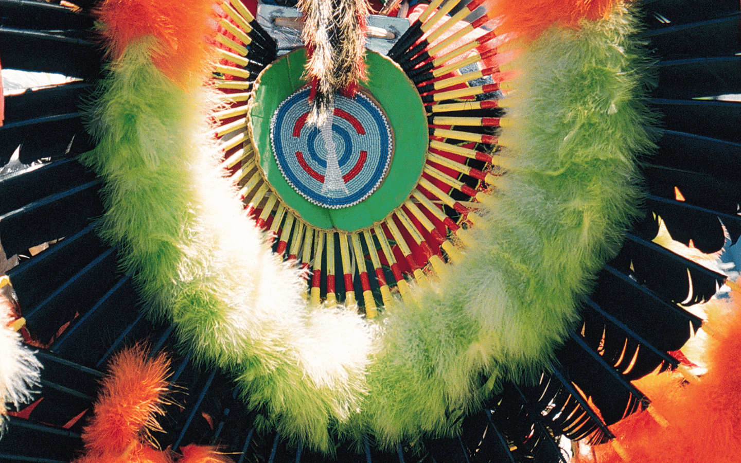 A cropped photo of an Arapaho Head Dress.