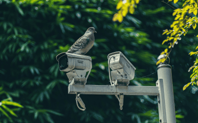Hidden Eyes: Why ‘Flock’ Surveillance Cameras Must Come With Oversight