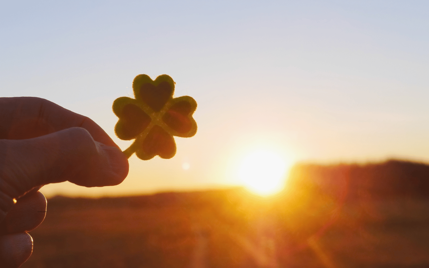 A person holds a four-leaf clover in front of a sunset.