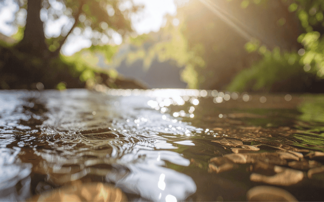 A Call for Water Justice During the Season of Creation
