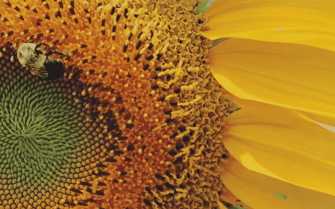 Belief Behind the Book | Grieving Differently: Queering the Stages of Grief