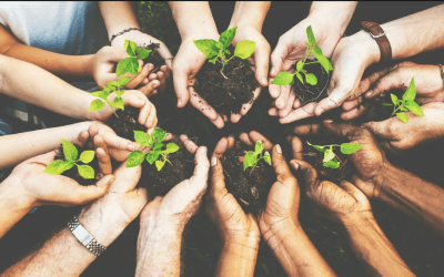 Christians Caring for Creation Releases 2026 U.S. Senate Voter Guide