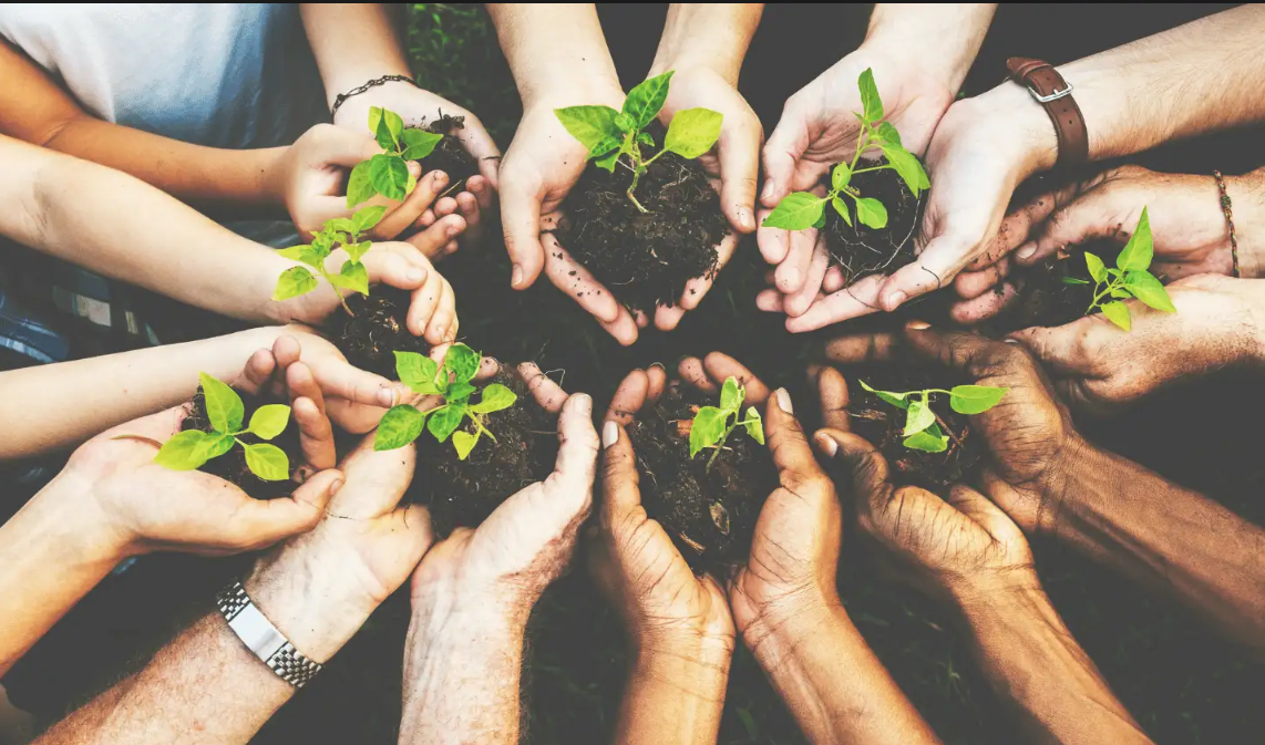 A circle of people holding sprouting plants.