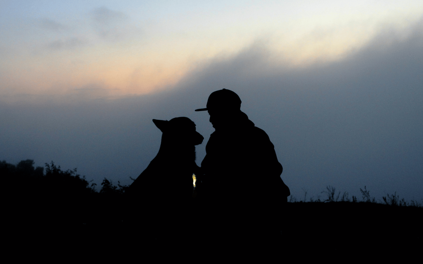 A silhouette of a person with a dog.
